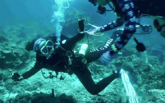 税惠红利催热 夷陵冬日经济